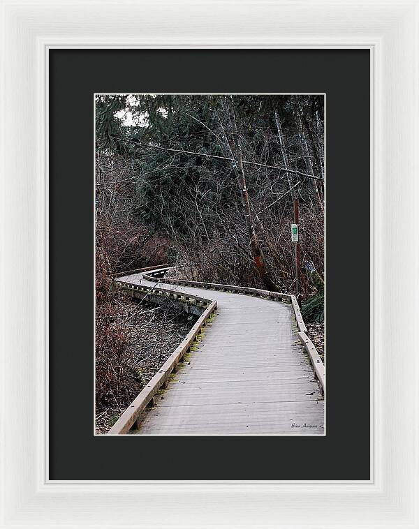 Trail - Framed Print