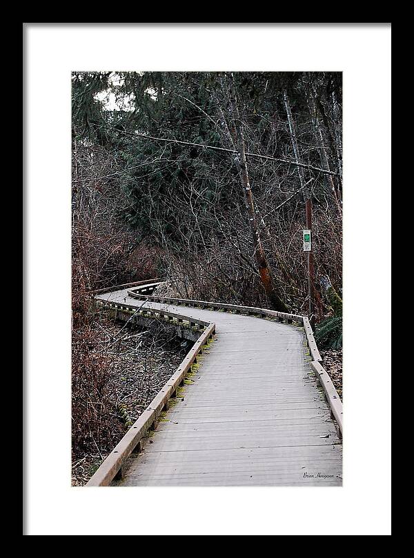 Trail - Framed Print