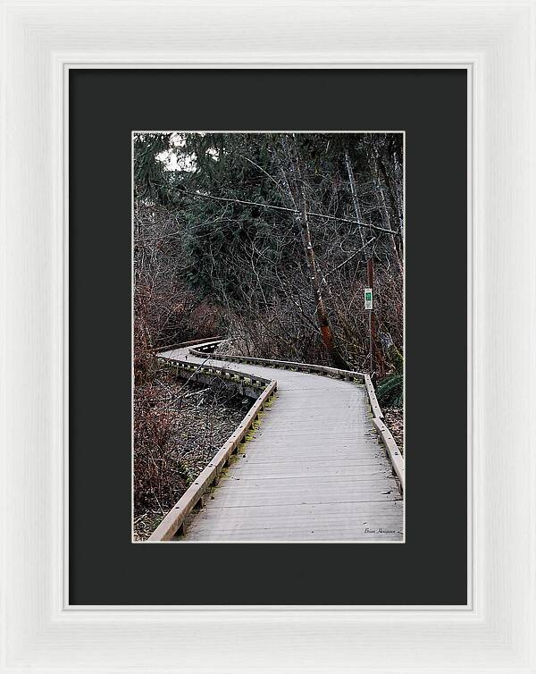 Trail - Framed Print