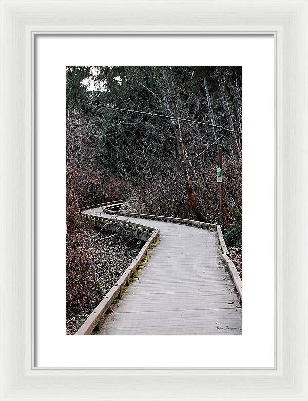 Trail - Framed Print