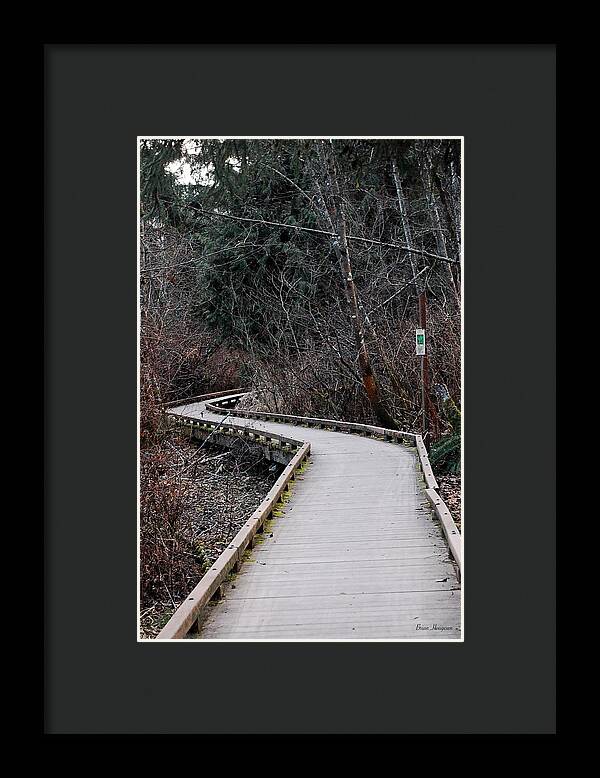 Trail - Framed Print