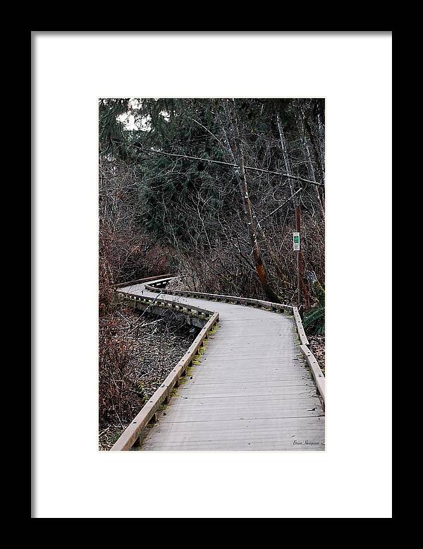 Trail - Framed Print