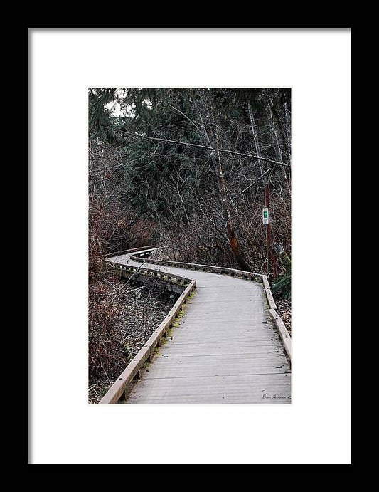 Trail - Framed Print