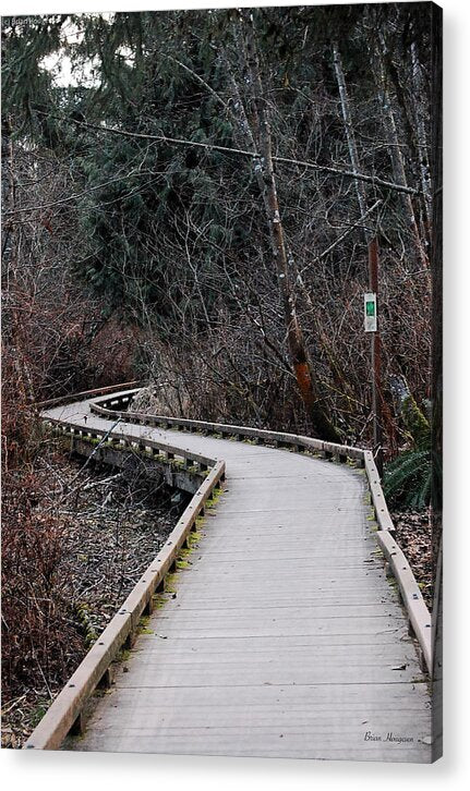 Trail - Acrylic Print