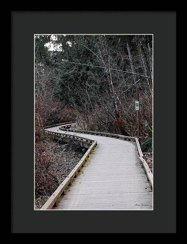 Trail - Framed Print