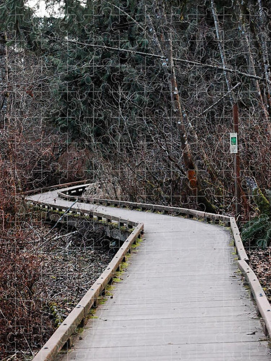 Trail - Puzzle