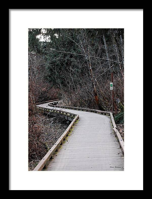 Trail - Framed Print