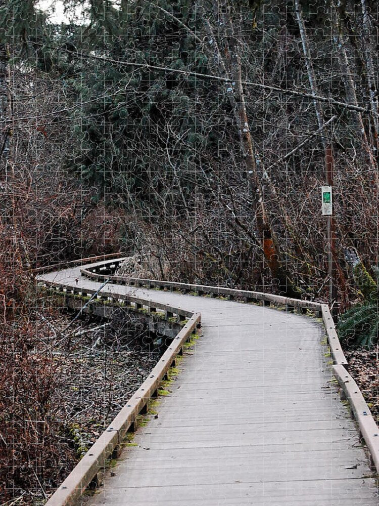 Trail - Puzzle