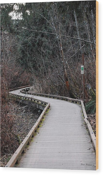 Trail - Wood Print