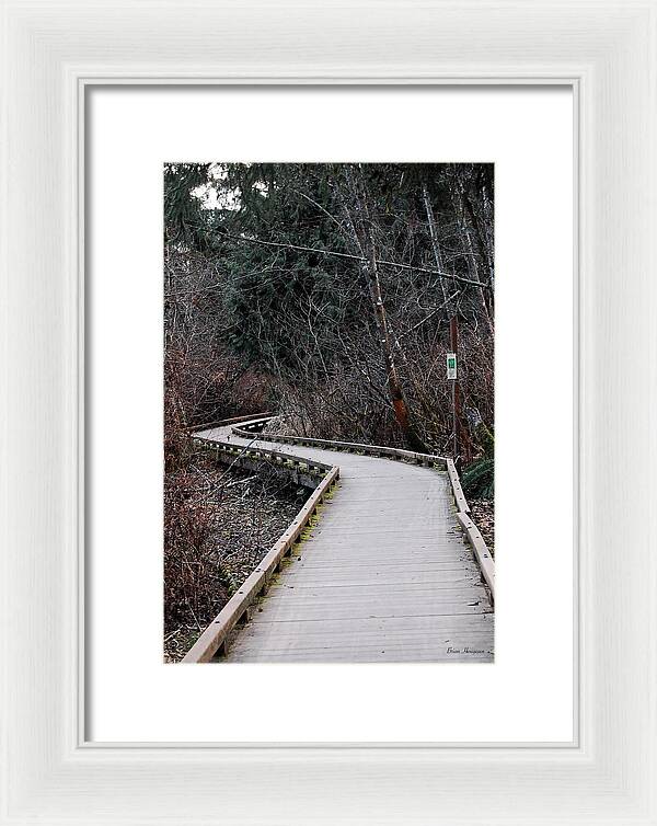Trail - Framed Print