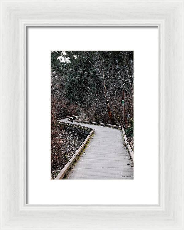 Trail - Framed Print