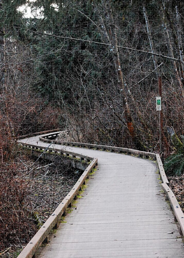 Trail - Puzzle