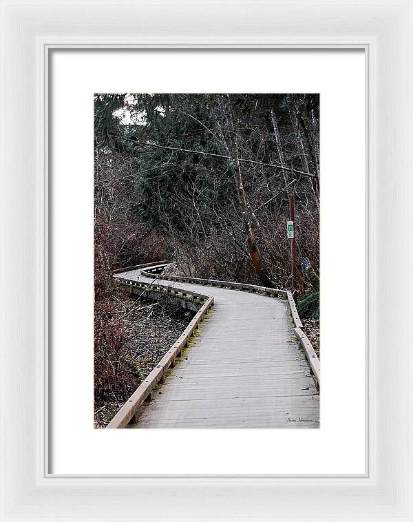 Trail - Framed Print