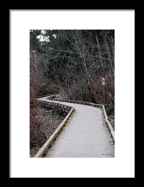 Trail - Framed Print