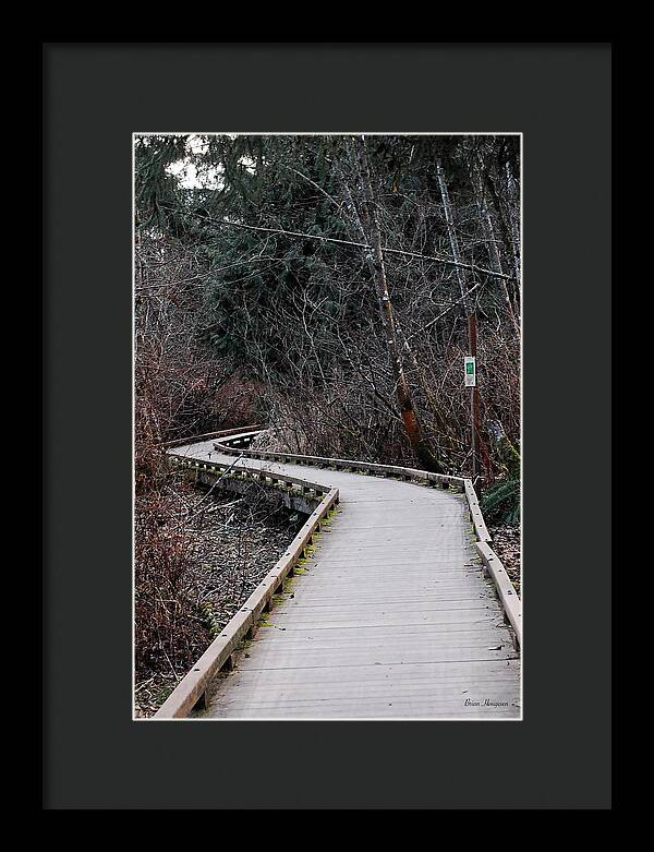 Trail - Framed Print