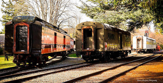 Vintage Train Cars on Tracks - Art Print