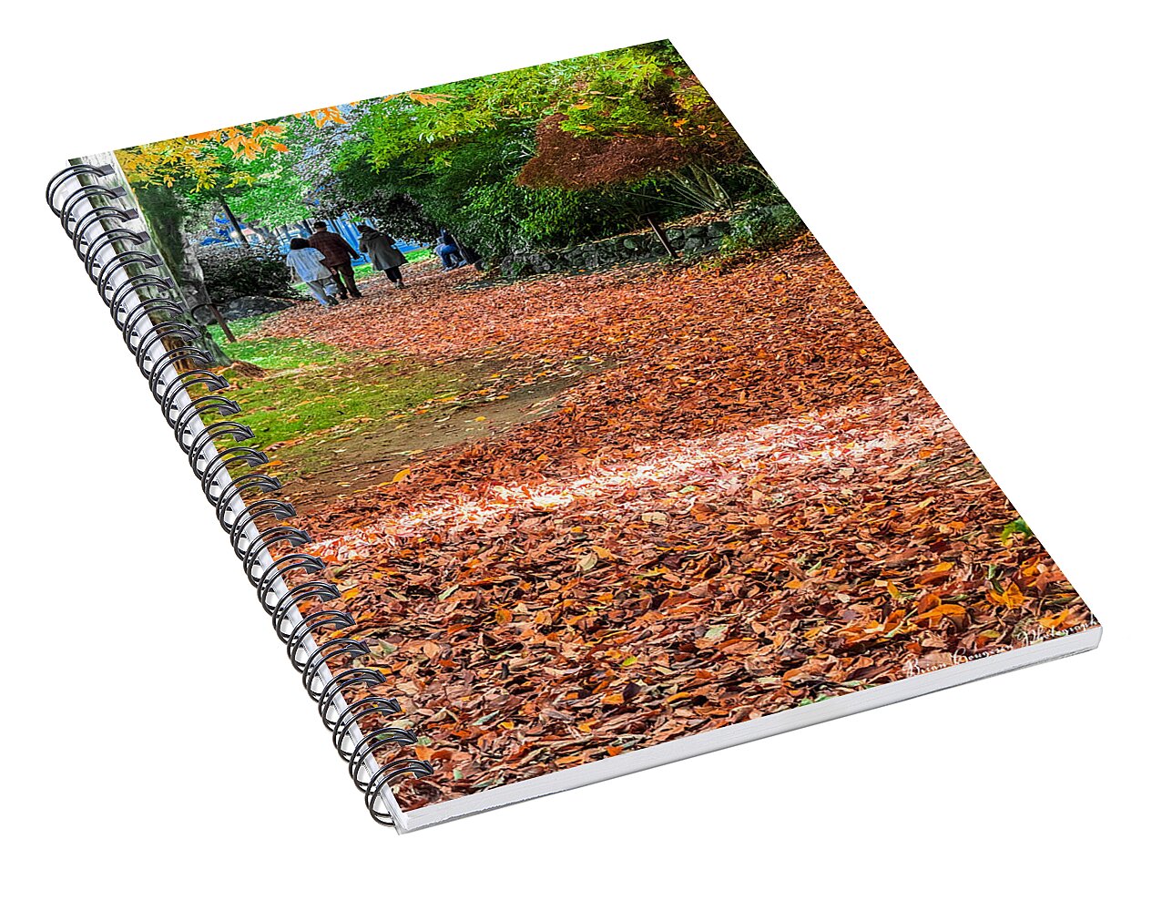 Walk along the park  - Spiral Notebook
