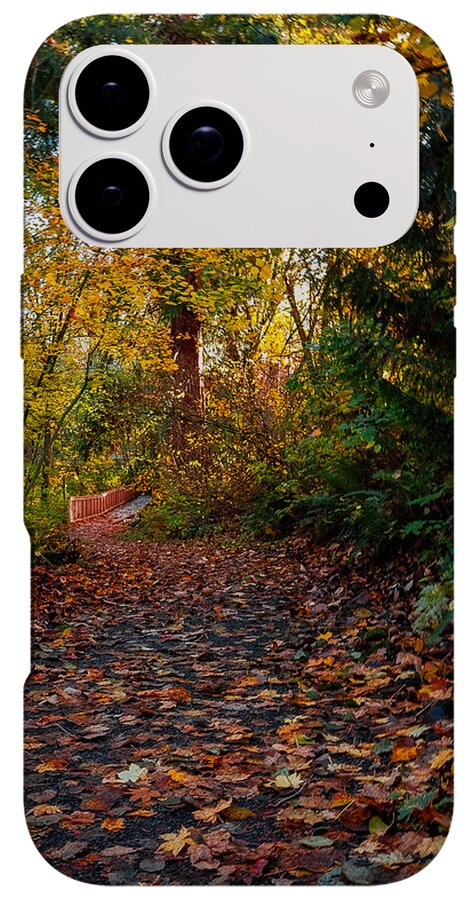 Walk in the park - Phone Case