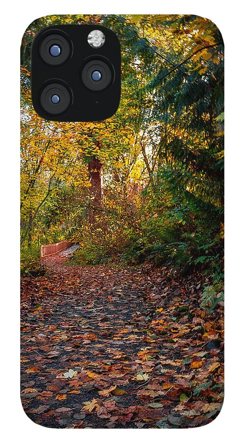 Walk in the park - Phone Case