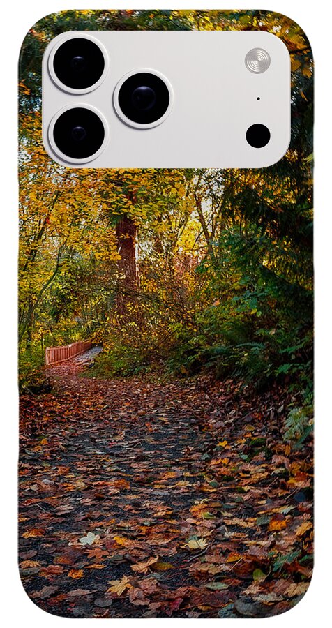Walk in the park - Phone Case