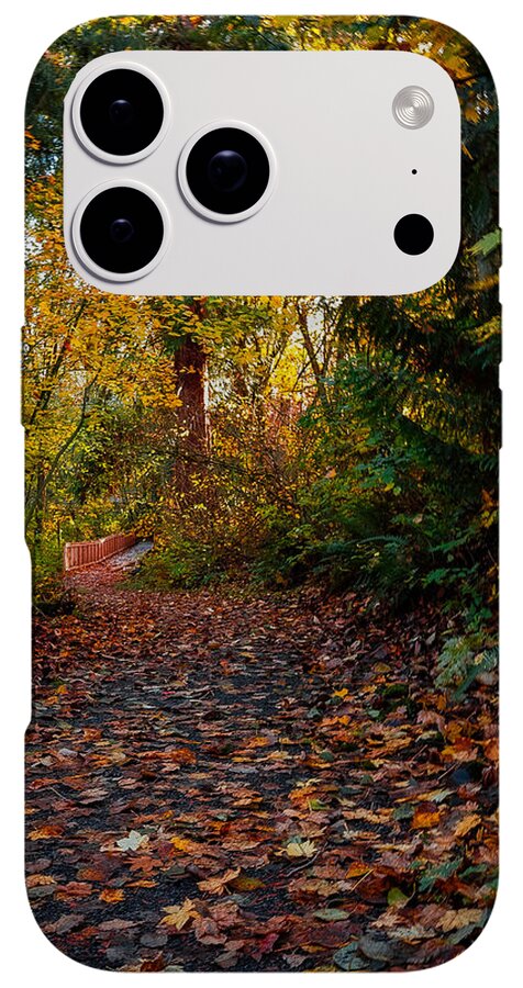 Walk in the park - Phone Case