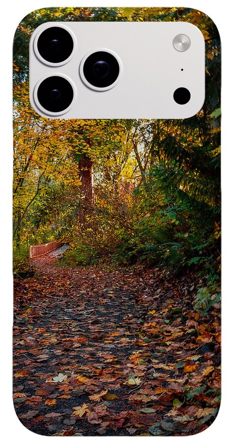 Walk in the park - Phone Case