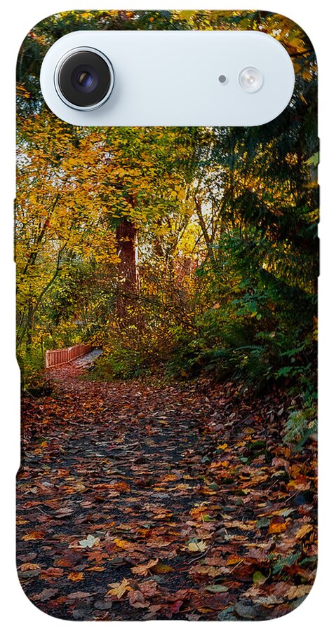 Walk in the park - Phone Case