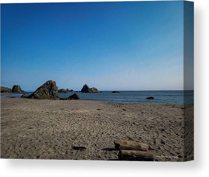 Walk on  the beach 1 - Canvas Print