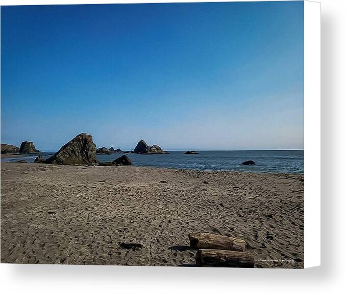 Walk on  the beach 1 - Canvas Print