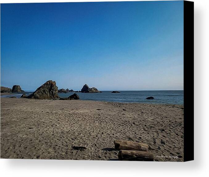 Walk on  the beach 1 - Canvas Print