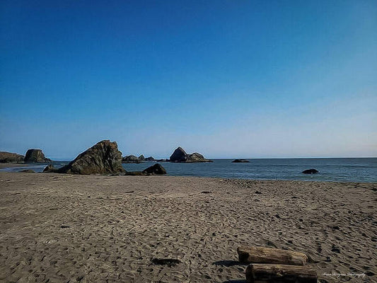 Walk on  the beach 1 - Art Print