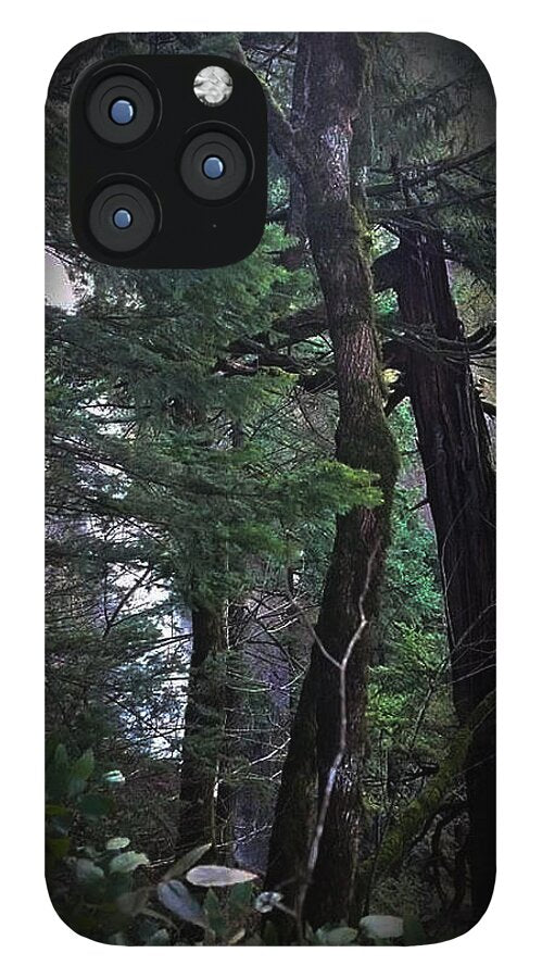 Water fall - Phone Case