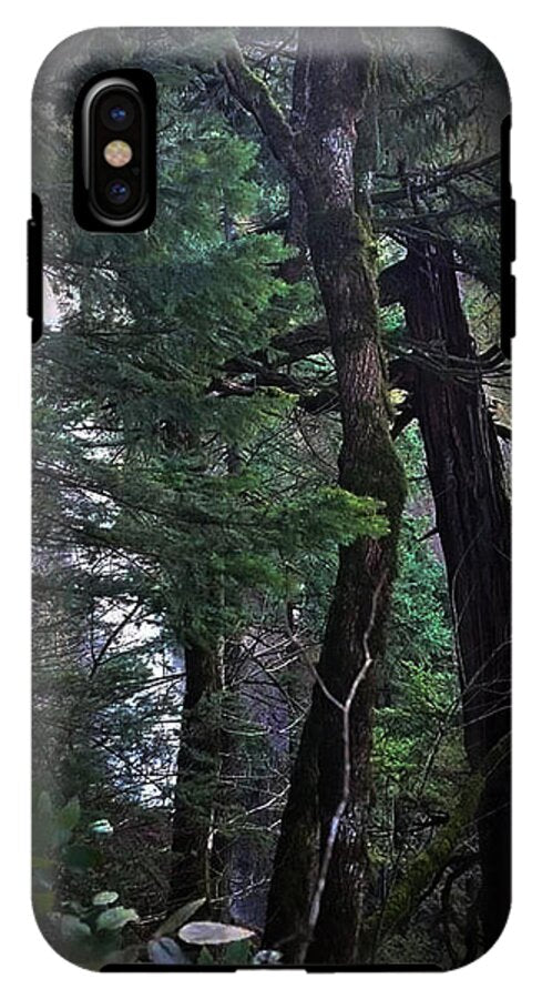 Water fall - Phone Case