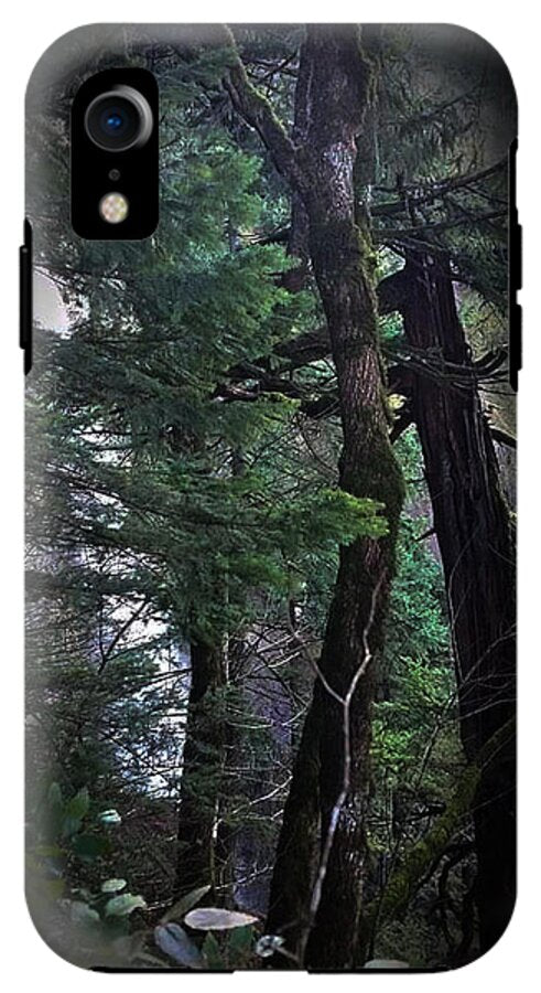 Water fall - Phone Case