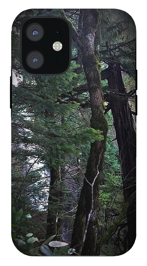 Water fall - Phone Case
