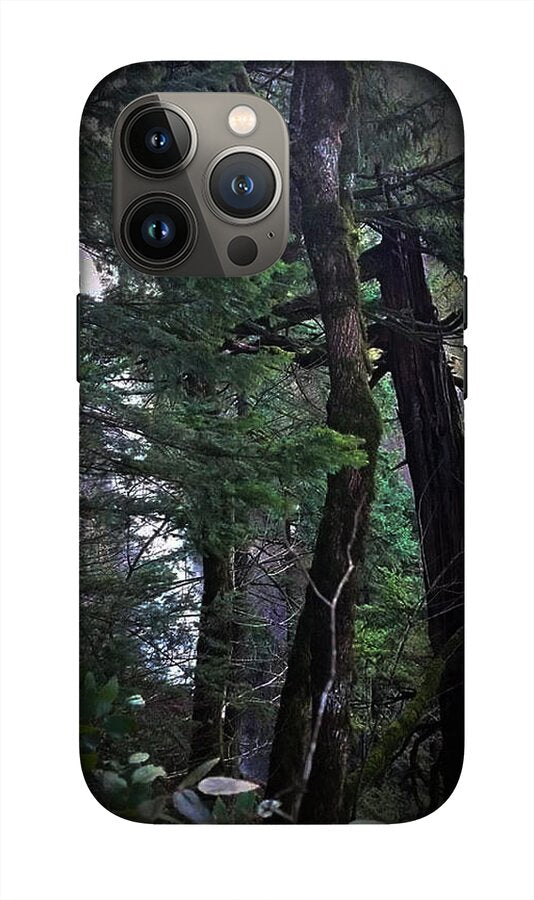 Water fall - Phone Case