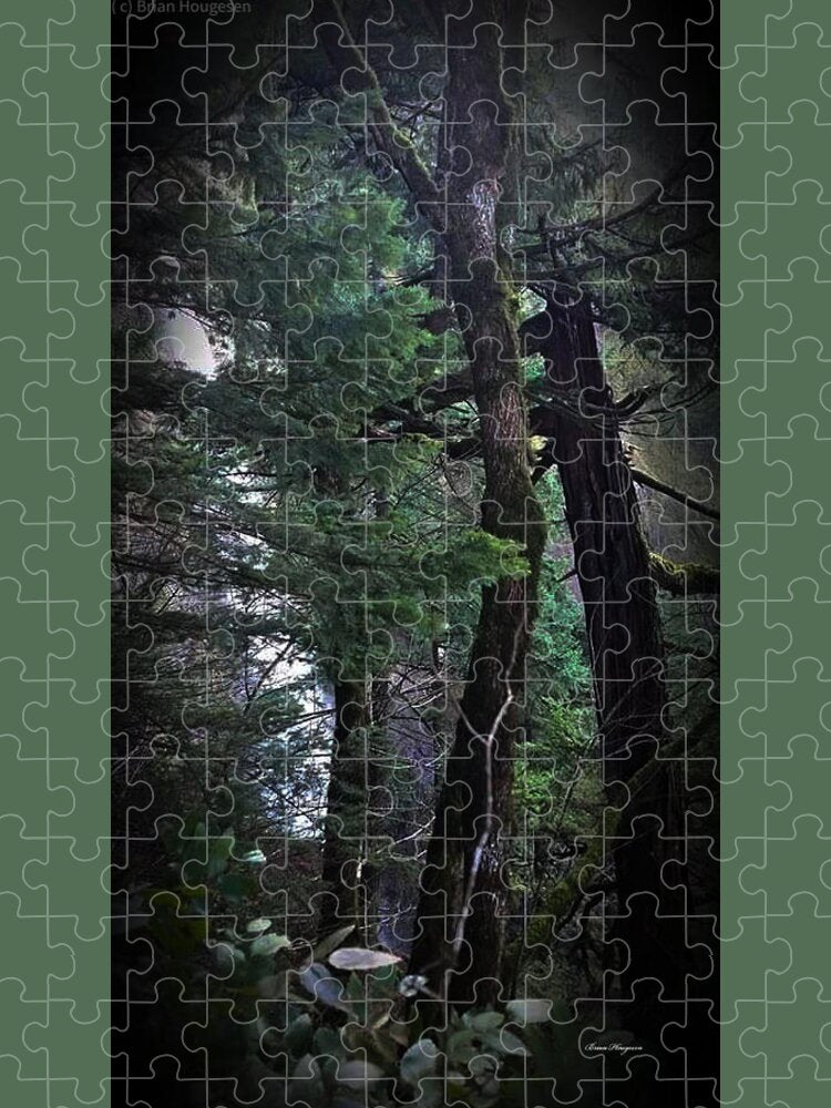 Water fall - Puzzle