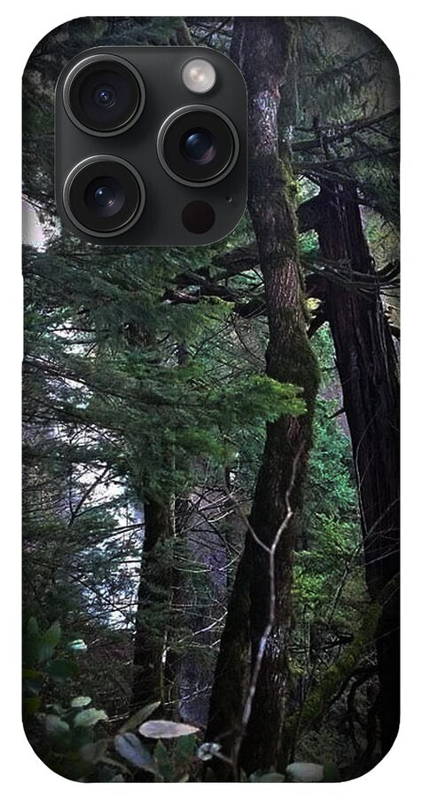 Water fall - Phone Case