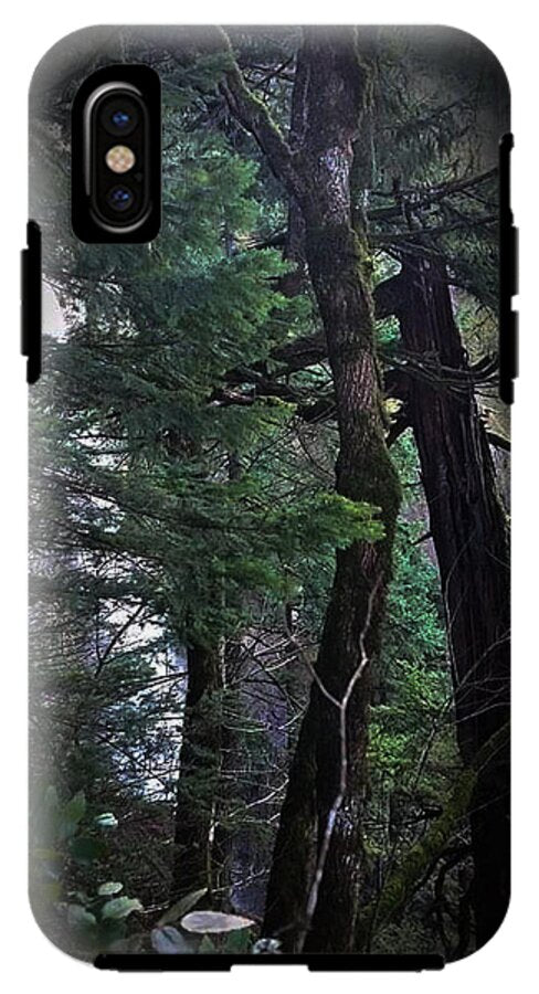 Water fall - Phone Case
