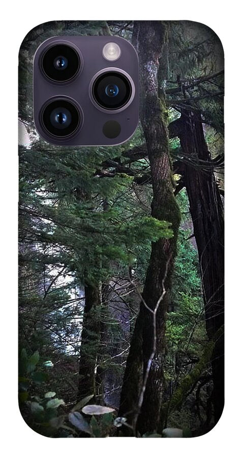 Water fall - Phone Case
