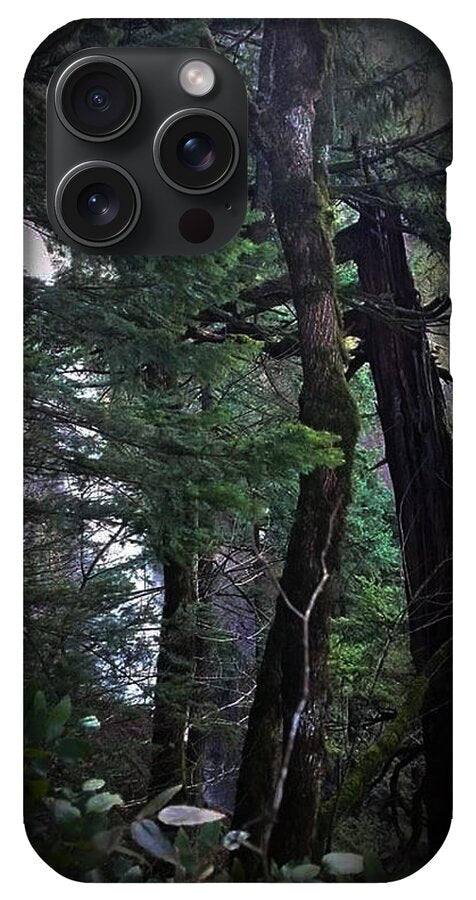 Water fall - Phone Case