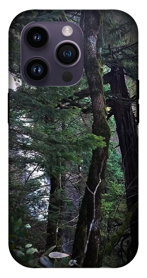 Water fall - Phone Case