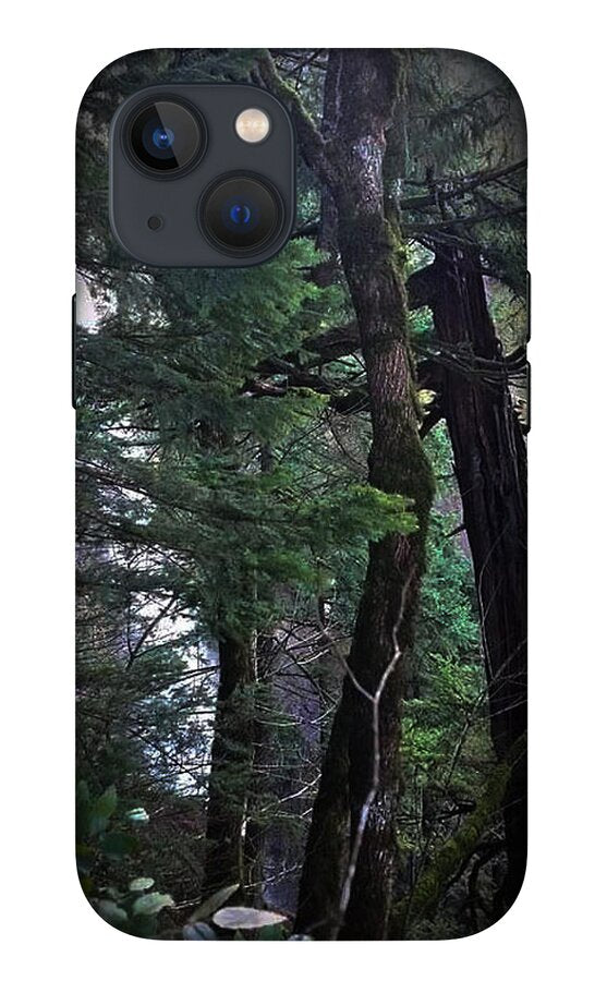 Water fall - Phone Case