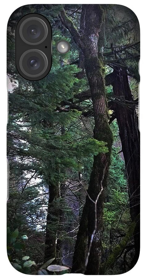 Water fall - Phone Case