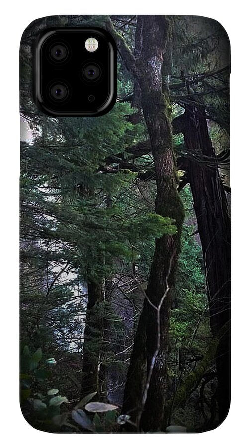 Water fall - Phone Case