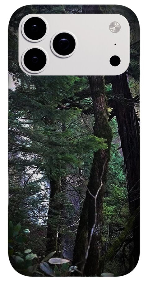 Water fall - Phone Case