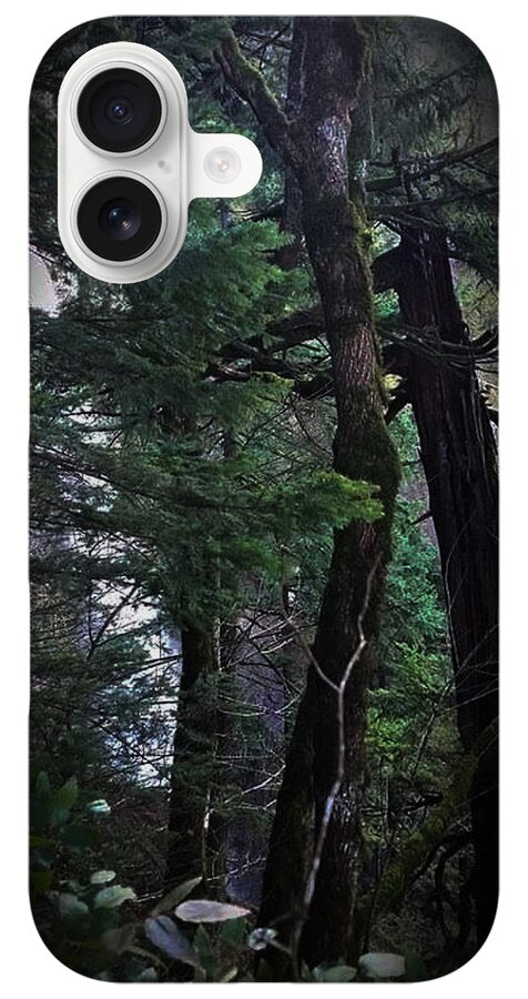 Water fall - Phone Case