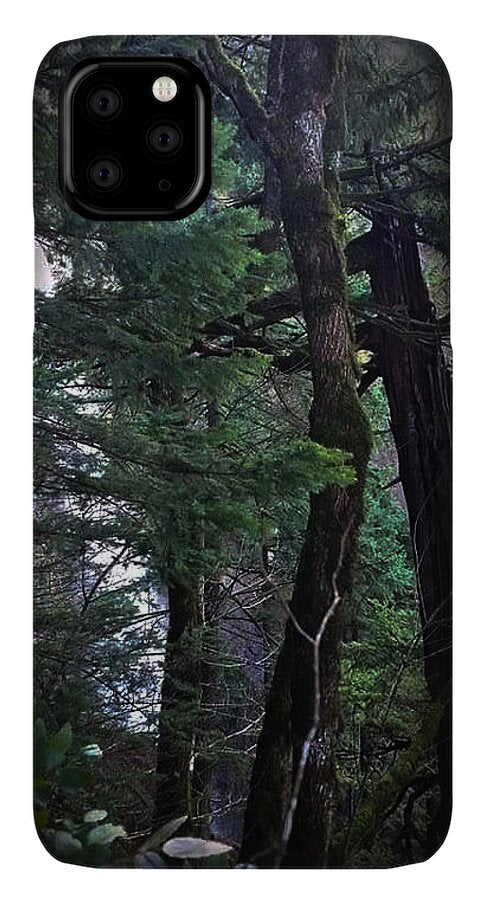 Water fall - Phone Case