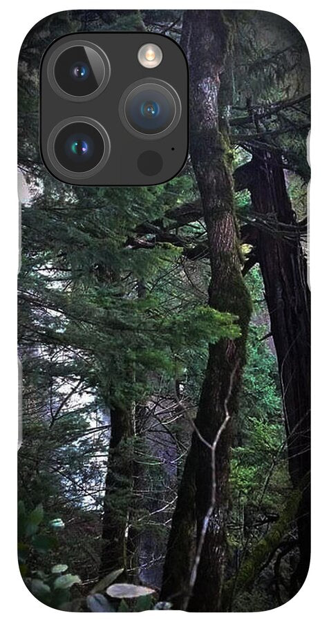 Water fall - Phone Case