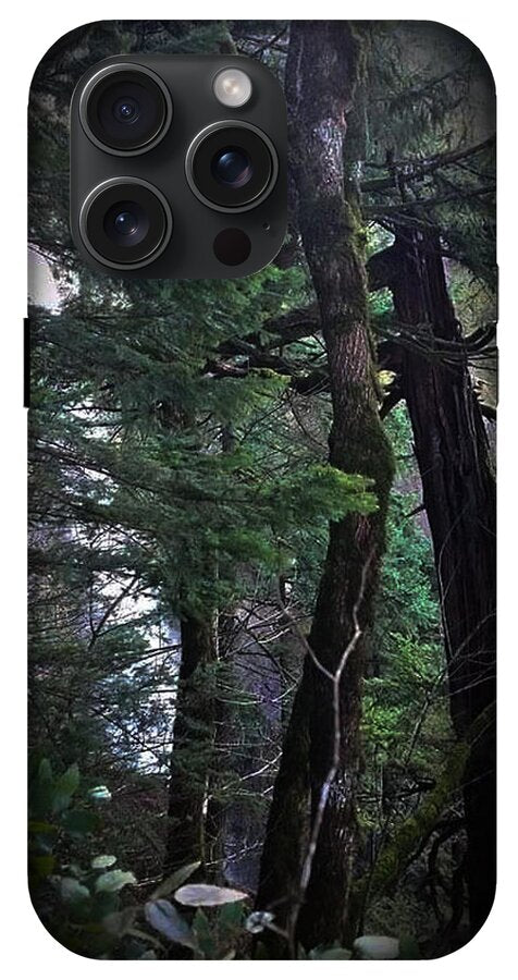 Water fall - Phone Case